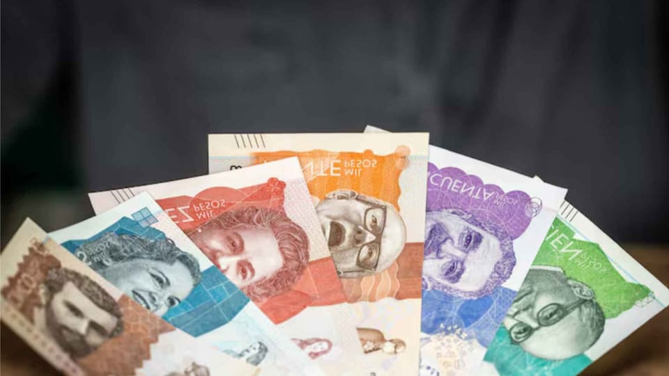 ¿Suspenden la quincena de Carnaval? La suspensión del decreto de salario mínimo: un pulso entre la política social y el rigor jurídico